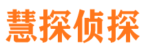 平顺市调查公司